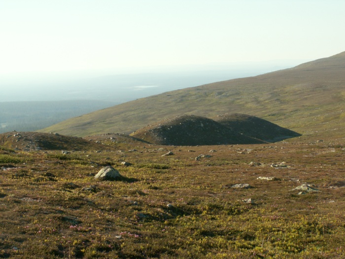 Mornhgar p Nipfjllet